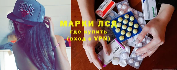 крисы Корсаков