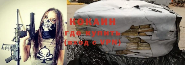 крисы Корсаков