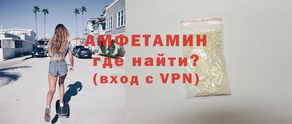 крисы Корсаков
