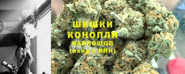крисы Корсаков