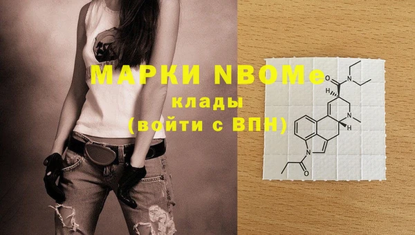 ECSTASY Коряжма