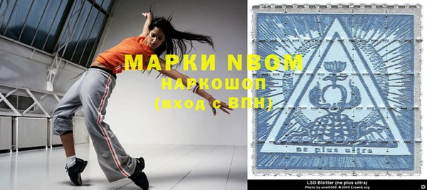 крисы Корсаков