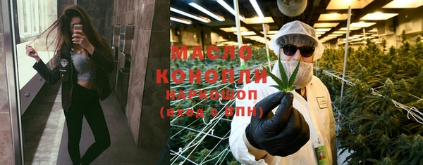 крисы Корсаков
