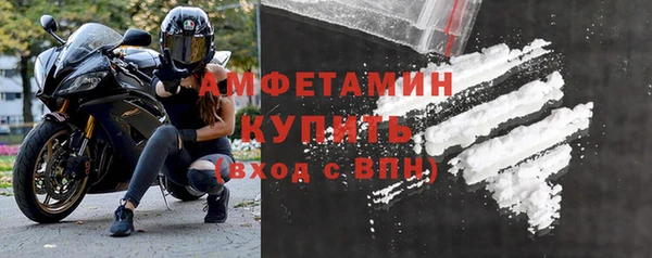 крисы Корсаков