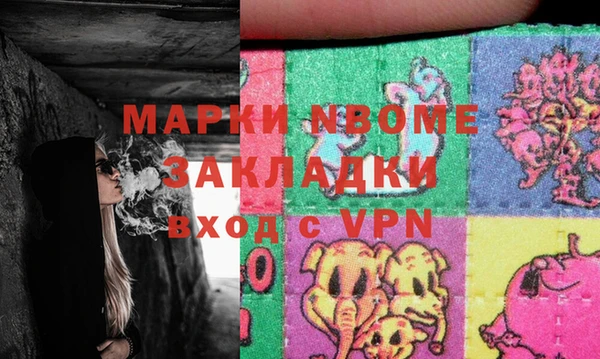 крисы Корсаков
