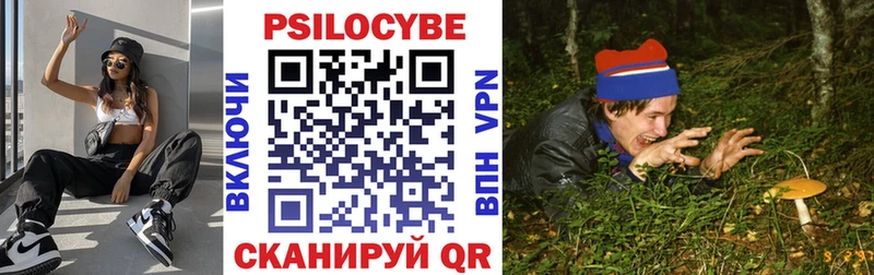 Купить где  Дорогобуж  Псилоцибиновые грибы мицелий 