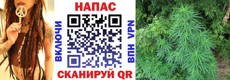Конопля Amnesia  Купить закладки  Дорогобуж 